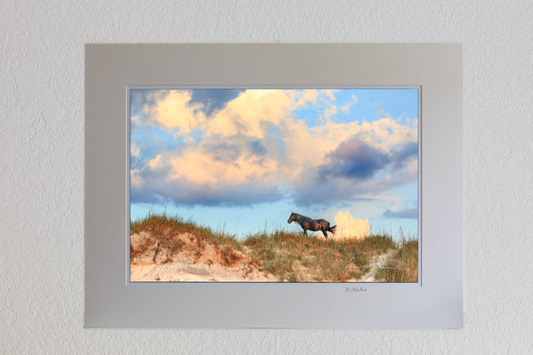 13 x 19luster  print in a 18 x 24 ivory mat Stallion, dunes, and clouds at sunrise in Corolla on the Outer Banks of North Carolina.