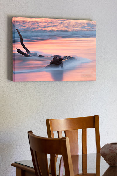 20"x30" x1.5" stretched canvas print hanging in the dining room of A long exposure of driftwood washed by the waves at sunrise on Kitty Hawk beach.