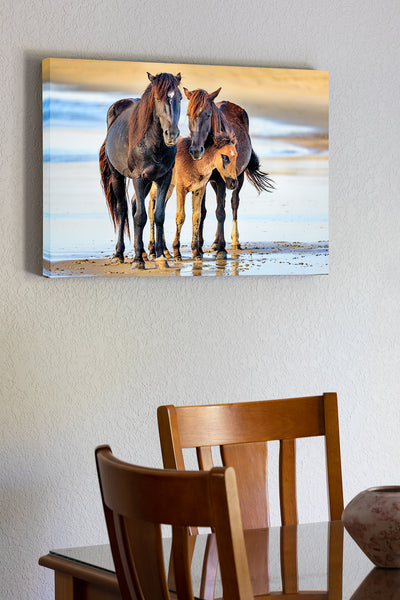 20"x30" x1.5" stretched canvas print hanging in the dining room of  Family portrait of wild horses at the beach on the Outer Banks of North Carolina.