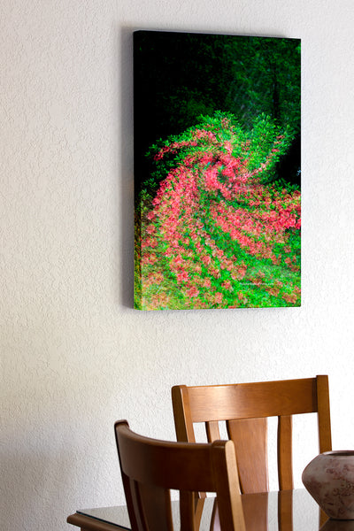 20"x30" x1.5" stretched canvas print hanging in the dining room of Multiple exposures while turning the camera created this spin art affect on my backyard azaleas.