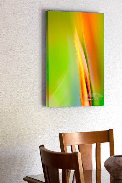 20"x30" x1.5" stretched canvas print hanging in the dining room of Impressionistic photo of iris buds in the garden created by moving the camera while the shutter was open.