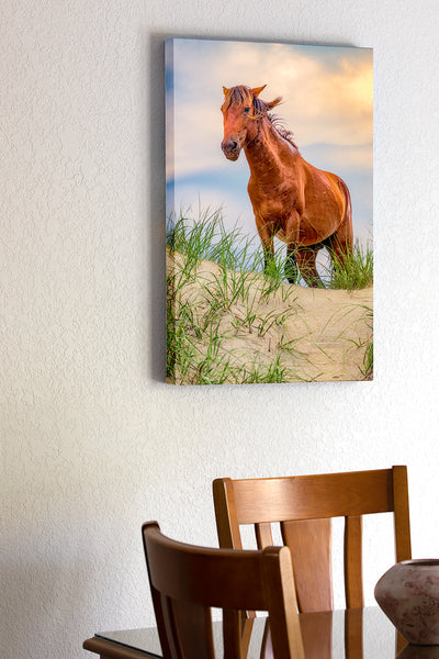 20"x30" x1.5" stretched canvas print hanging in the dining room of  Wild horse in the dunes of Carova on the Outer Banks, NC.