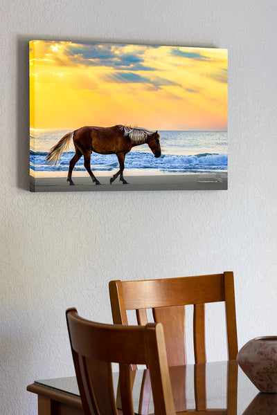 20"x30" x1.5" stretched canvas print hanging in the dining room of wild stallion strolling on the beach at sunrise, Corolla on the Outer Banks NC.
