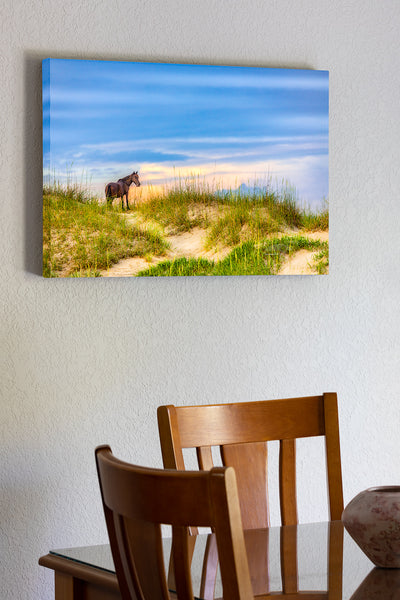 20 x 30 x 1.5” stretched canvas print hanging in the dining room of Wild stallion surveying his domain on the Outer Banks in Carova Beach, NC.