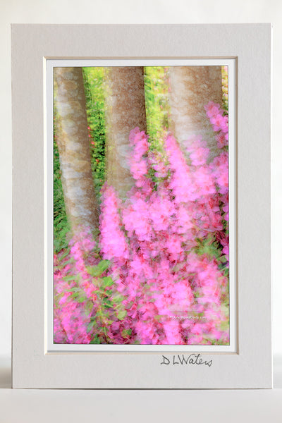 4 x 6 luster print in a 5 x 7 ivory mat of Multiple exposures of azaleas and American holly trees in my front yard. Moving the camera randomly between shots created this painterly affect.