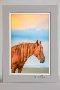 4 x 6 luster print in a 5 x 7 ivory mat of Wild horse on the beach in front of surf at sunrise in Corolla, NC on the Outer Banks.
