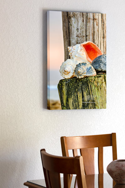 20"x30" x1.5" stretched canvas print hanging in the dining room of Shells stacked up under Avalon fishing pier in Kill Devil Hills, NC on the Outer Banks at sunrise.