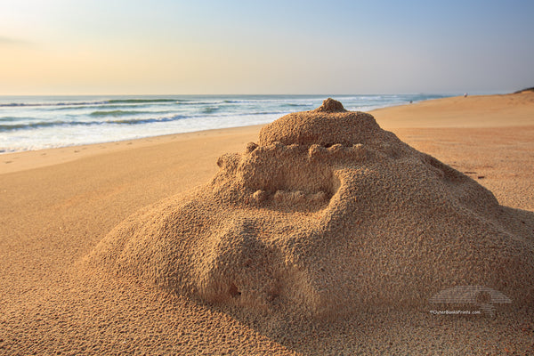 Sunrise sand castle after a rain storm at a Outer Banks beach.
