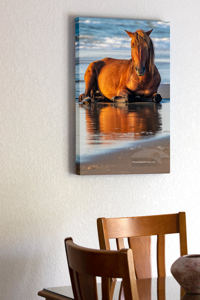 20"x30" x1.5" stretched canvas print hanging in the dining room of Wild horse on the beach in front of surf at sunrise in Corolla, NC on the Outer Banks.