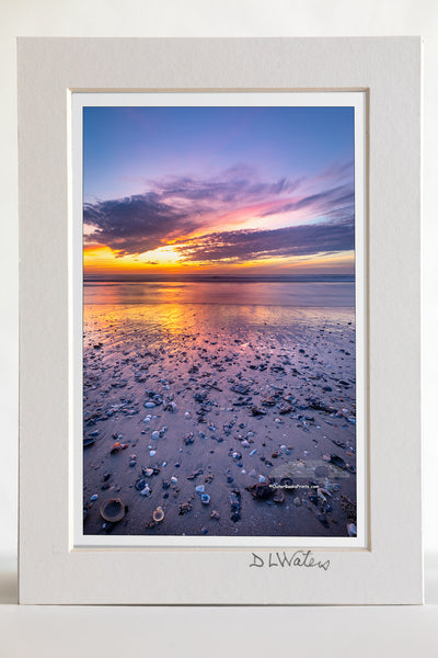 4 x 6 luster print in a 5 x 7 ivory mat of Shell shards washed up on the high tide at Corolla, NC Outer Banks beach sunrise.
