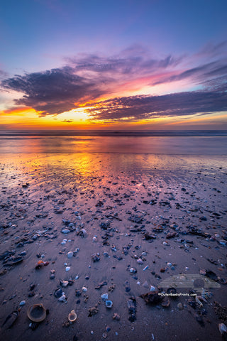 Shell shards washed up on the high tide at Corolla, NC Outer Banks beach sunrise.