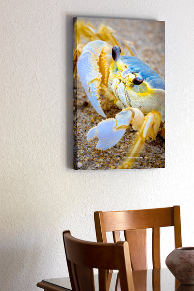 20"x30" x1.5" stretched canvas print hanging in the dining room of Picture of Outer Banks ghost crab at Duck, NCon the Outer Banks.