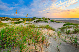 Calm sunrise in the sand dunes at Corolla on the Outer Banks of NC.