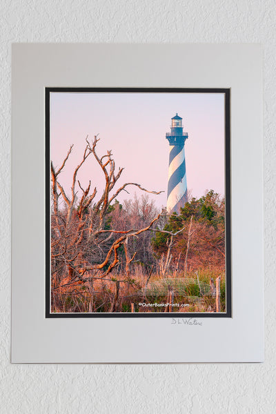 8 x 10 luster print in a 11 x 14 ivory and black double mat of Unusual marshy view of Cape Hatteras lighthouse and trees.
