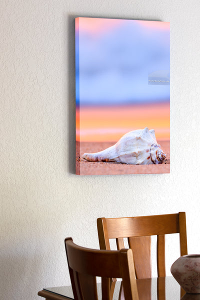 20"x30" x1.5" stretched canvas print hanging in the dining room of I photographed the shell on the beach at Avalon Pier in Kitty Hawk North Carolina. The warm reflection of the sunrise in the surf contrasts nicely with the blue foam.
