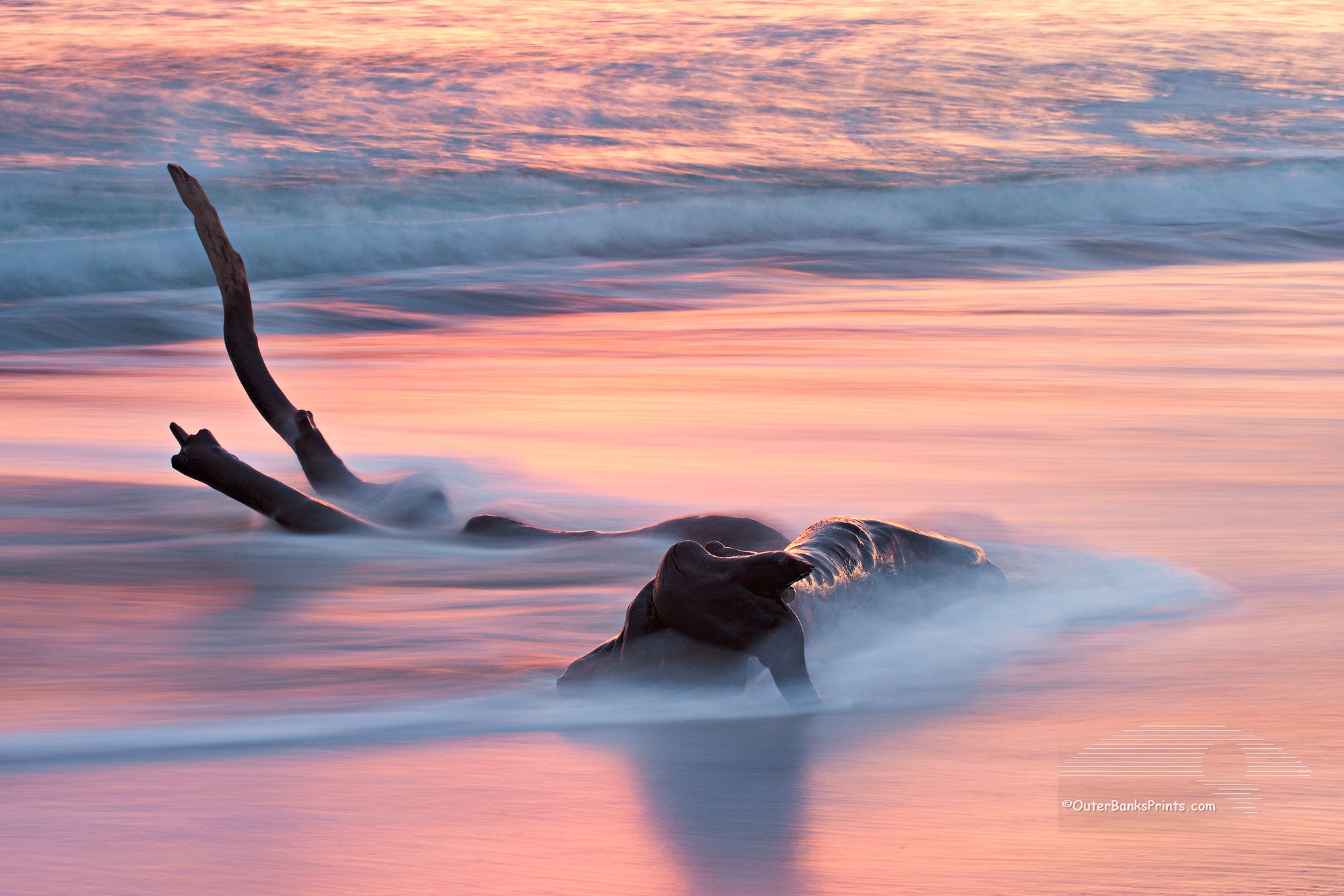 A long exposure of driftwood washed by the waves at sunrise on Kitty Hawk beach.