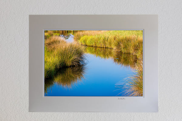 13x19 print in a 18x24  ivory mat of This marshy Creek was photographed in Wanchese on the Outer Banks of North Carolina.