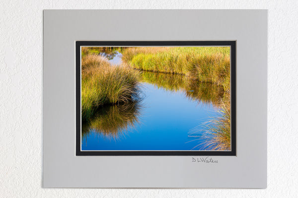 5x7 print in 8x10 mat This marshy Creek was photographed in Wanchese on the Outer Banks of North Carolina.
