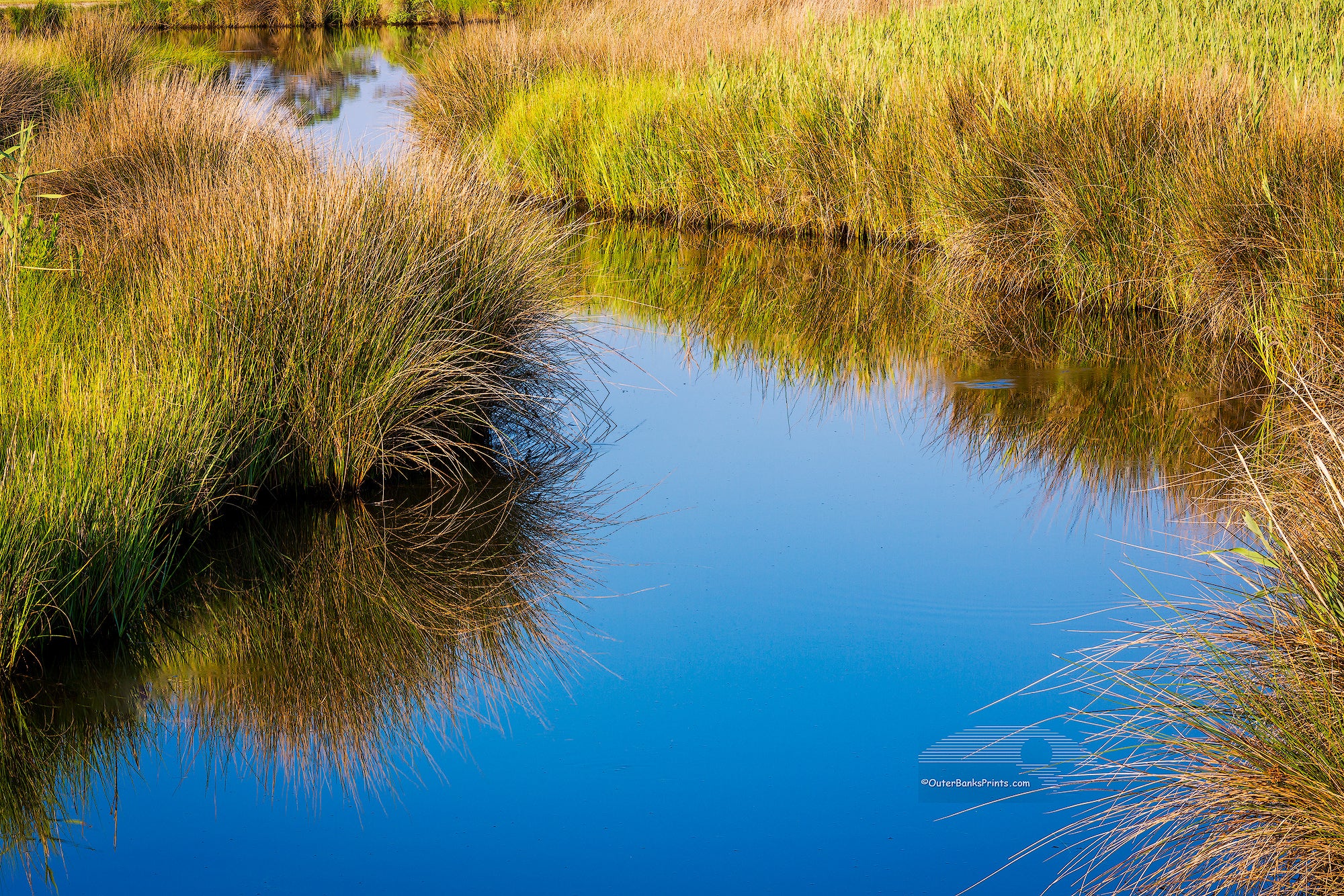 This marshy Creek was photographed in Wanchese on the Outer Banks of North Carolina.