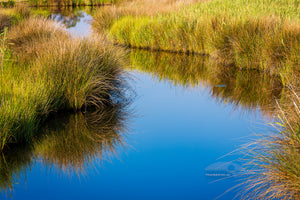This marshy Creek was photographed in Wanchese on the Outer Banks of North Carolina.