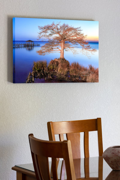 20"x30" x1.5" stretched canvas print hanging in the dining room of Cypress tree at sunset along Duck, NC boardwalk on the Ouer Banks.