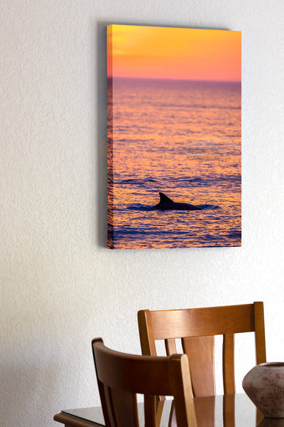 20"x30" x1.5" stretched canvas print hanging in the dining room of Dolphin cruising along the beach at Duck on the Outer Banks, NC.