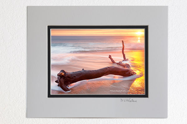5 x 7 luster prints in a 8 x 10 ivory and black double mat of  A long exposure of driftwood washed by the waves at sunrise at Kitty Hawk beach on the Outer Banks of NC.
