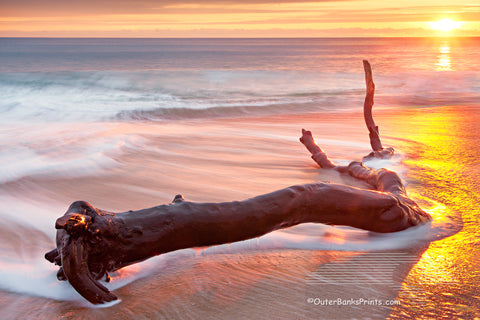 A long exposure of driftwood washed by the waves at sunrise at Kitty Hawk beach on the Outer Banks of NC.