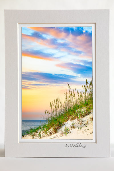 4 x 6 luster print in a 5 x 7 ivory mat of A pastel sand dune, sea oats, and sunrise at the beach in Corolla on the Outer Banks of NC.