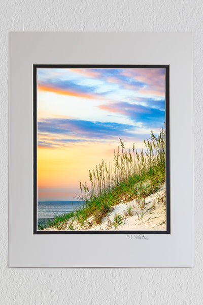 8 x 10 luster print in a 11 x 14 ivory and black double mat of A pastel sand dune, sea oats, and sunrise at the beach in Corolla on the Outer Banks of NC.