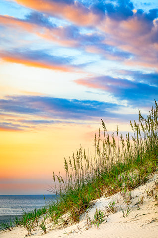 A pastel sand dune, sea oats, and sunrise at the beach in Corolla on the Outer Banks of NC.