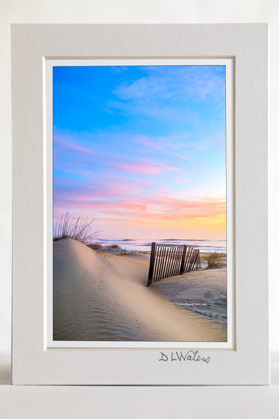 4 x 6 luster print in a 5 x 7 ivory mat of  Sand dune and sand fence at sunrise on a Nags Head beach, Outer Banks NC.