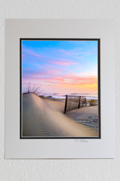 8 x 10 luster print in a 11 x 14 ivory and black double mat of Sand dune and sand fence at sunrise on a Nags Head beach, Outer Banks NC.