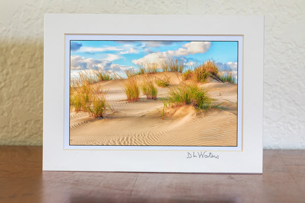 Sand dune at Jockeys Ridge State Park on the Outer Banks.
