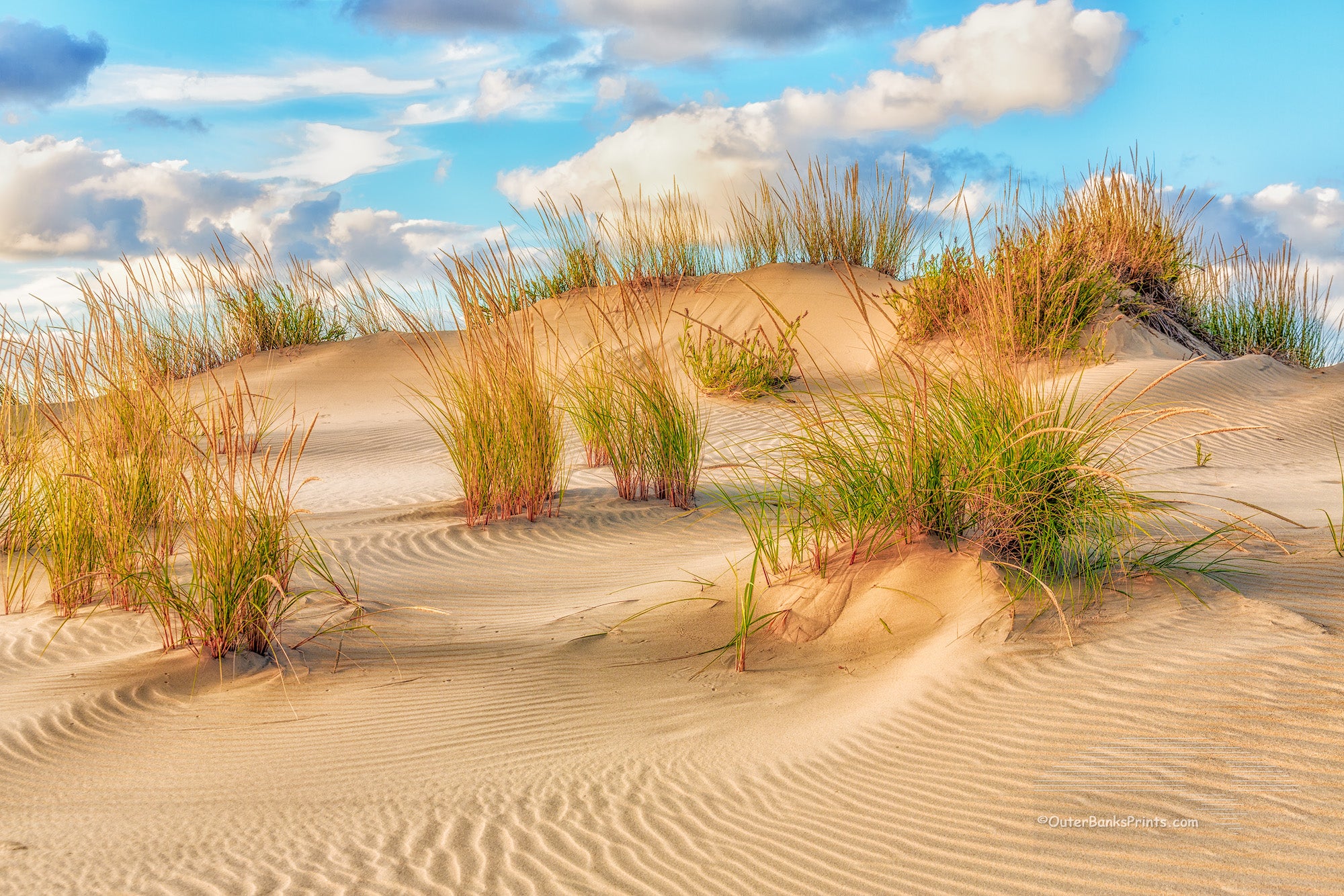 Sand dune at Jockeys Ridge State Park on the Outer Banks.