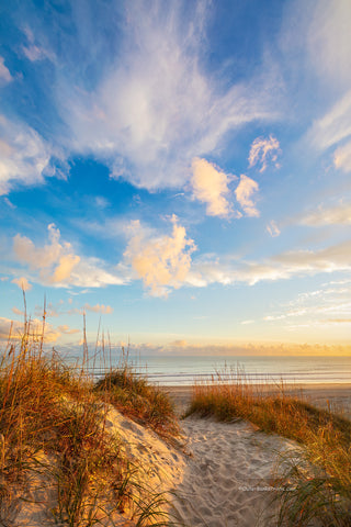 Afternoon light shining on a path over the dunes at Frisco beach at Cape Hatteras National Seashore.