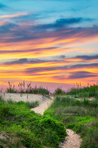 S-curved path at sunrise leading up the dune to the beach in Kitty Hawk, NC on the Outer Banks.