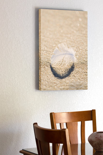  20"x30" x1.5" stretched canvas print hanging in the dining room of A downey feather on a Outer Banks beach.