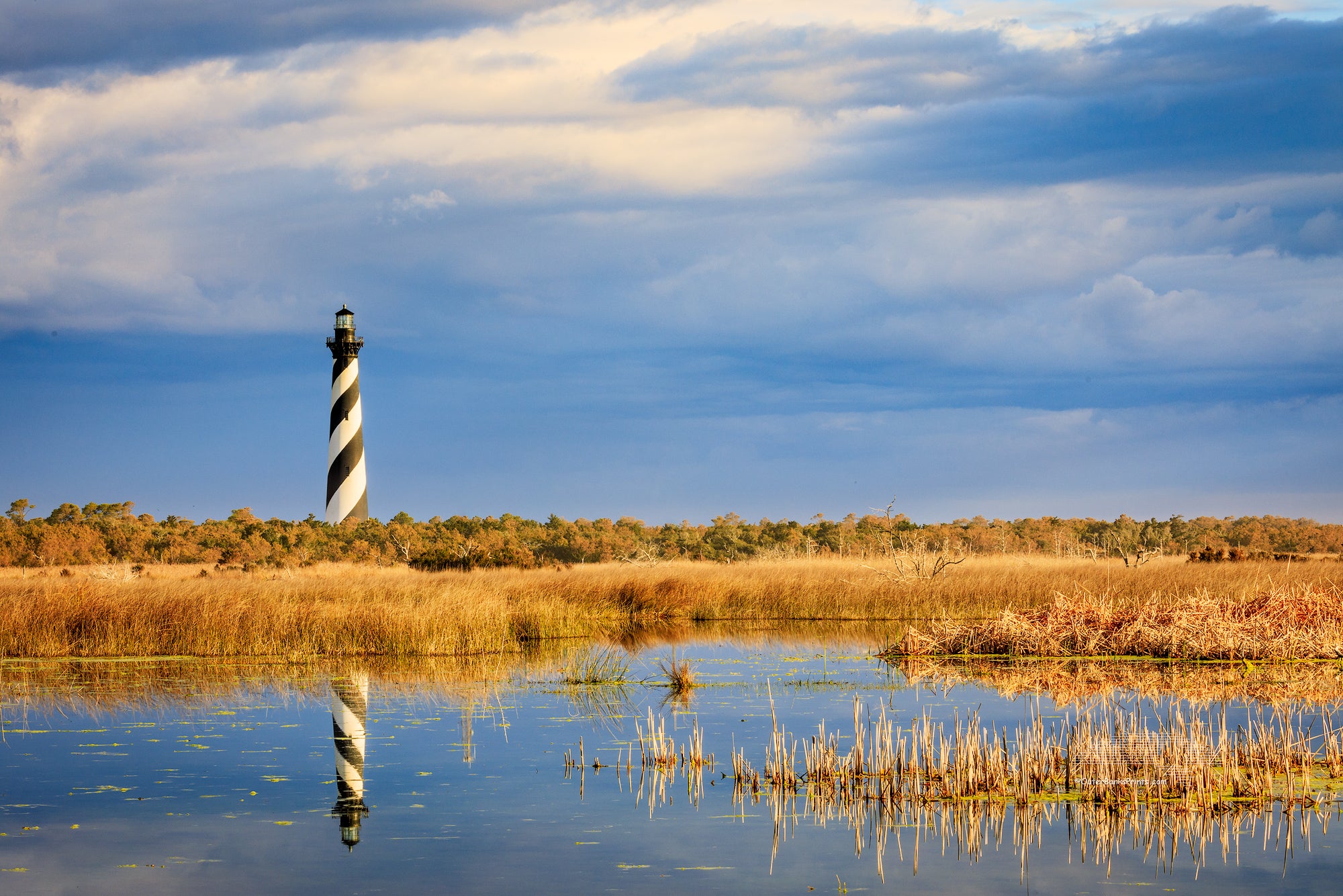 Cape Hatteras lighthouse reflected in the wild marshy landscape on the Outer Banks of NC.