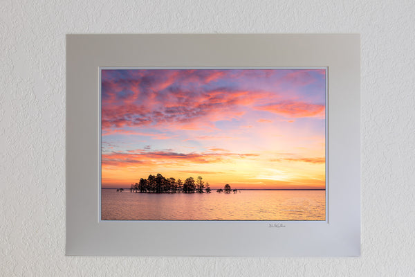 13x19 luster print in a 18x24 ivory mat of A line of Cypress trees at sunrise in Lake Mattamuskeet, North Carolina.