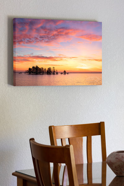 20x30 Canvas print of A line of Cypress trees at sunrise in Lake Mattamuskeet, North Carolina.