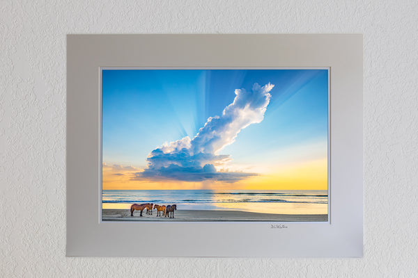 13x19 in a ivory mat of Herd of wild horses on a Outter Banks beach in Carova, NC under a magnificent morning rain cloud.