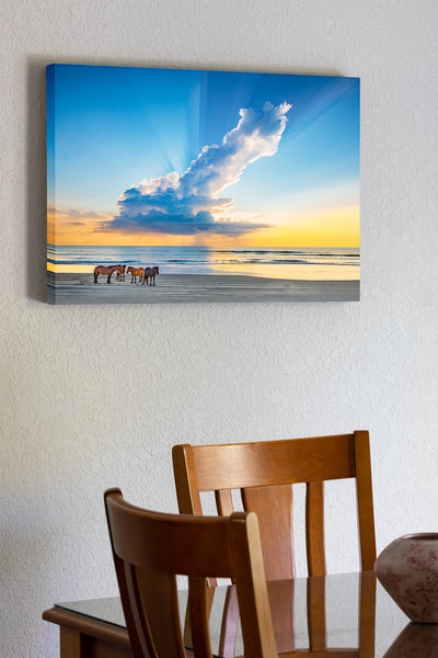 20x30 Canvas wrap of Herd of wild horses on a Outter Banks beach in Carova, NC under a magnificent morning rain cloud.
