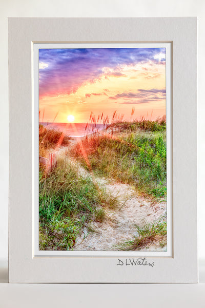 4 x 6 luster print in a 5 x 7 ivory mat of  A path through the dunes to a Outer Banks beach in Kitty Hawk , NC at sunrise.