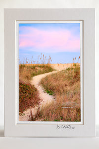 4 x 6 luster print in a 5 x 7 ivory mat of Path over the sand dune at sunset in Kitty Hawk on the Outer Banks of NC.