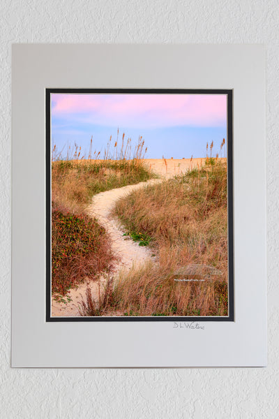 8 x 10 luster print in a 11 x 14 ivory and black double mat of Path over the sand dune at sunset in Kitty Hawk on the Outer Banks of NC.