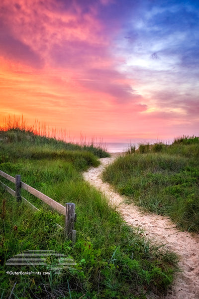 Kitty Hawk path to the beach at twilight, lit with a flashlight, on the Outer banks.