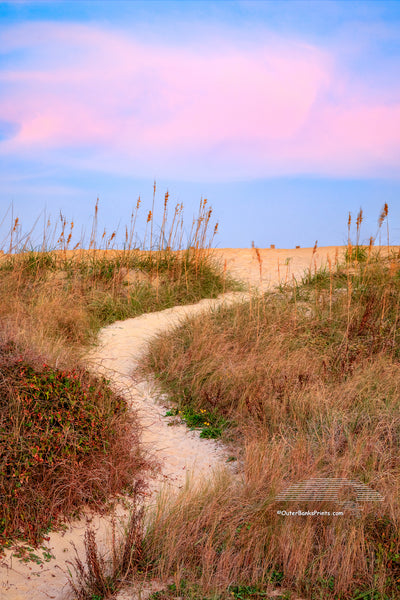 Path over the sand dune at sunset in Kitty Hawk on the Outer Banks of NC.