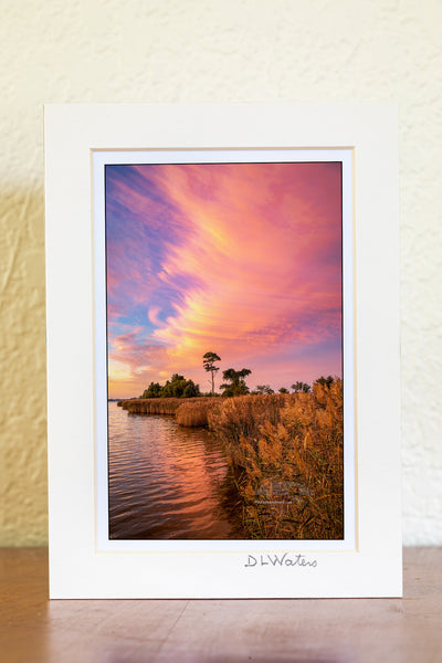 Pink Shoreline Outer Banks