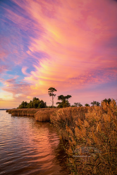 Pink Shoreline Outer Banks